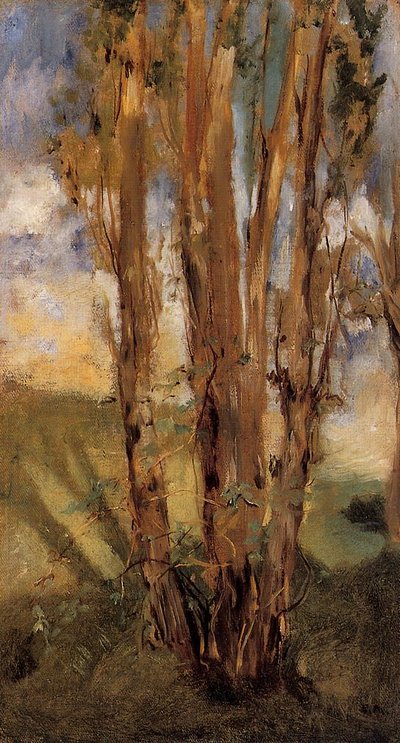 Study of Trees by Édouard Manet